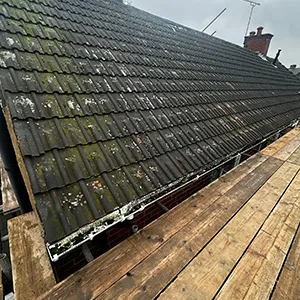 black roof